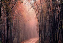 九游娱乐：记者：国安新帅塞蒂恩先于球队飞赴海口.