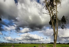 九游娱乐：2023年全国乒乓球锦标赛决赛在江苏扬州落幕中国新闻网.