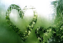 亚残运会田径：用速度和力量追梦央视网.