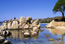 本赛季五大联赛30岁以上球员射手榜：萨拉赫、莱万、凯恩前三.